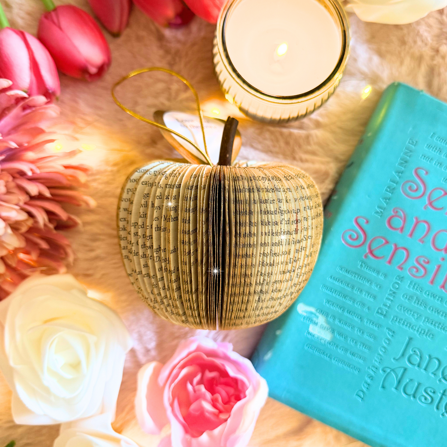 Sense and Sensibility Book Gift