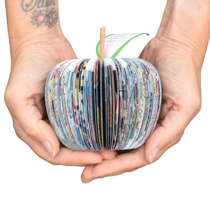 Star Wars Apple | 4th Wedding Anniversary Gift for Him