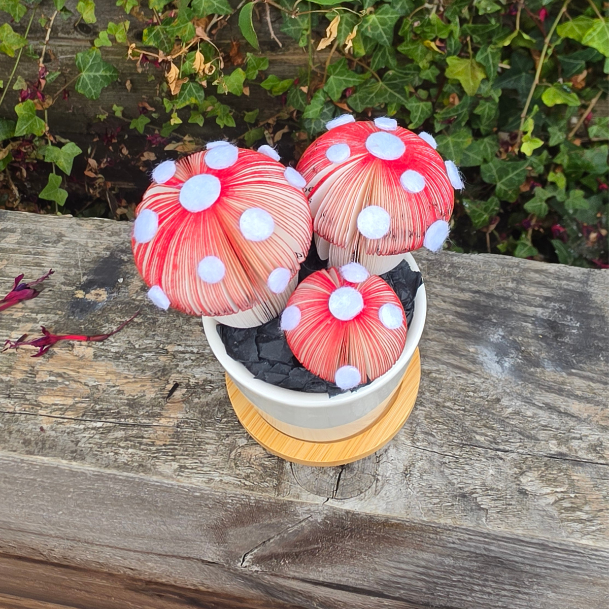 Toadstool Trio Pot displayed outdoors on a wooden bench, three handmade red and white spotted toadstools hand-cut from real book pages