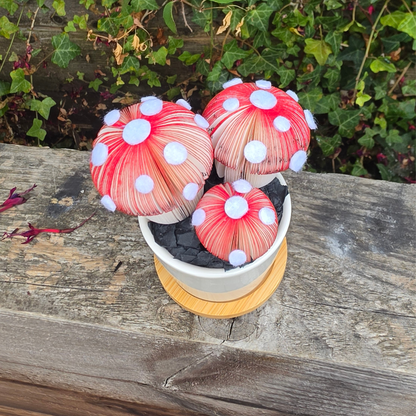Toadstool Trio Pot displayed outdoors on a wooden bench, three handmade red and white spotted toadstools hand-cut from real book pages