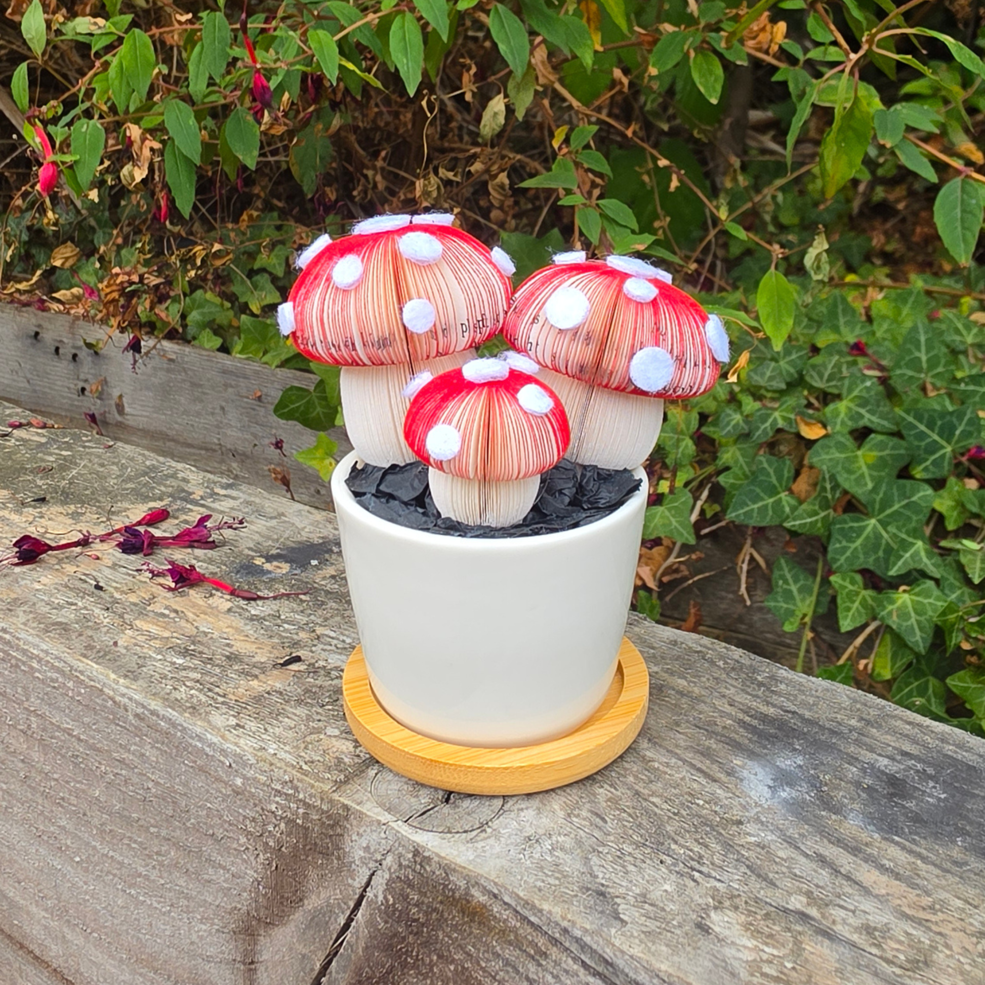 Toadstool Trio Pot outdoors with garden foliage behind, handmade paper toadstool mushrooms with felt spots in a white ceramic pot