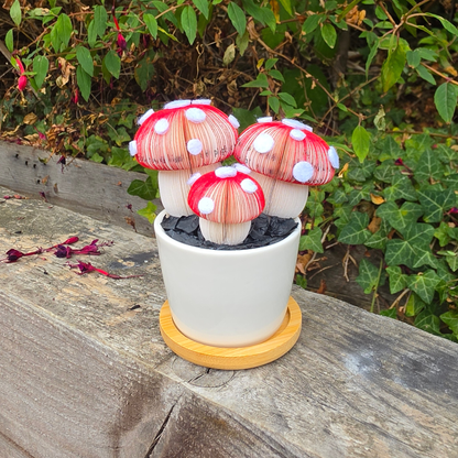 Toadstool Trio Pot outdoors with garden foliage behind, handmade paper toadstool mushrooms with felt spots in a white ceramic pot