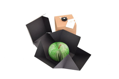 Green Apple book apple with optional matching greeting card