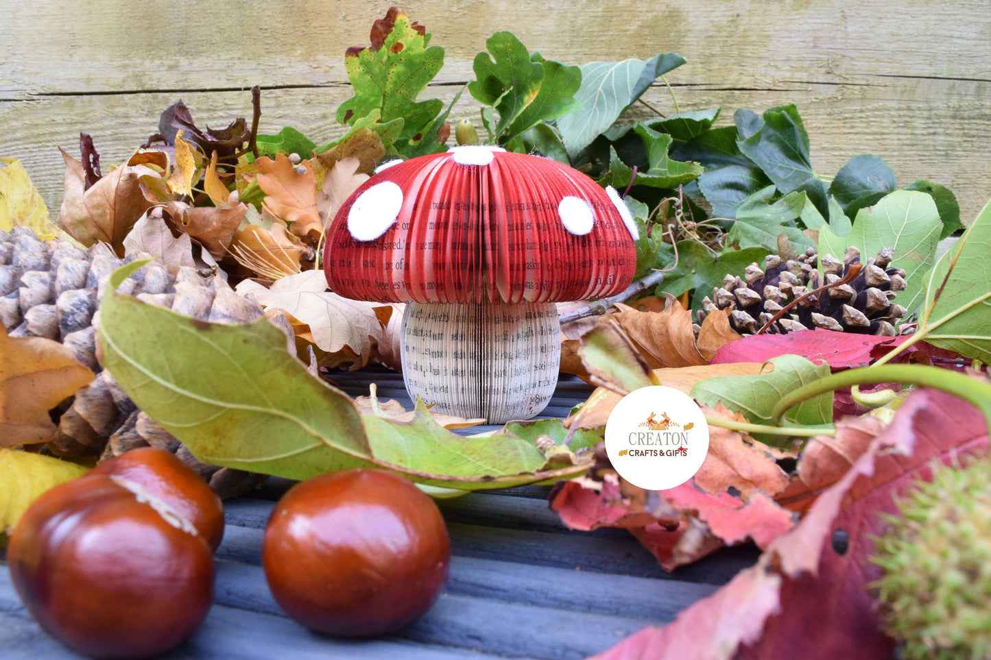 Toadstool Book Gift