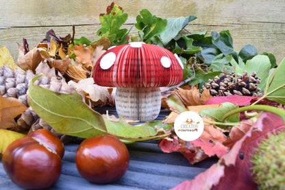 Toadstool Book Gift - Paper Apple Co