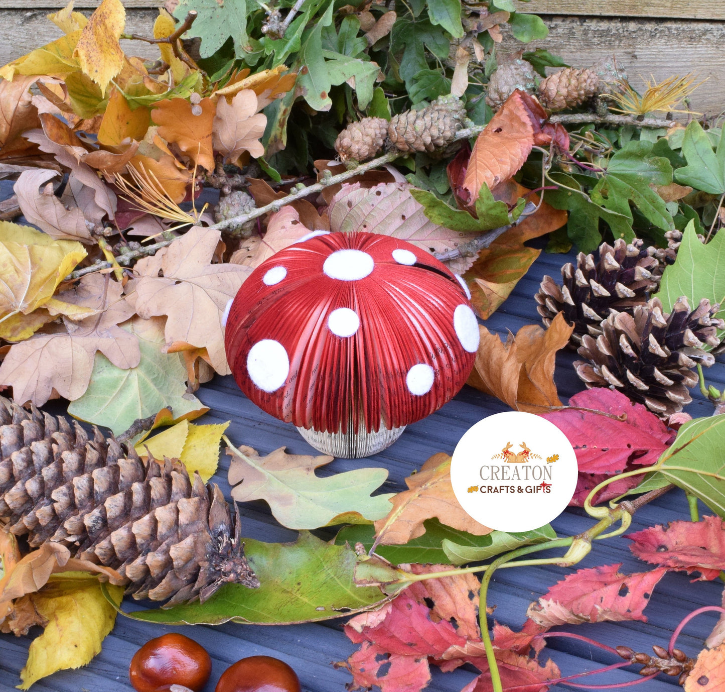 Toadstool Book Gift