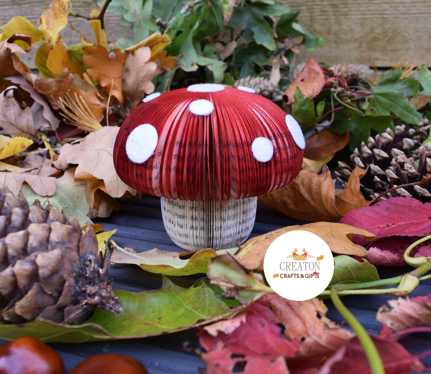 Toadstool Book Gift