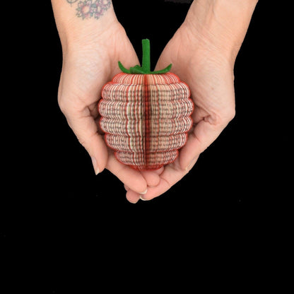 Handmade book raspberry held in hands to show size