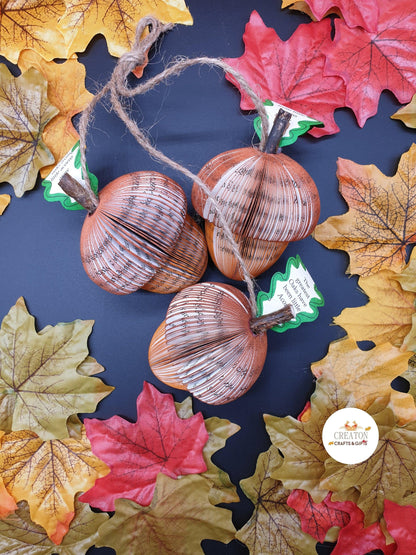 Set of 3 Acorn displayed on teacher desk, unique personalised gift