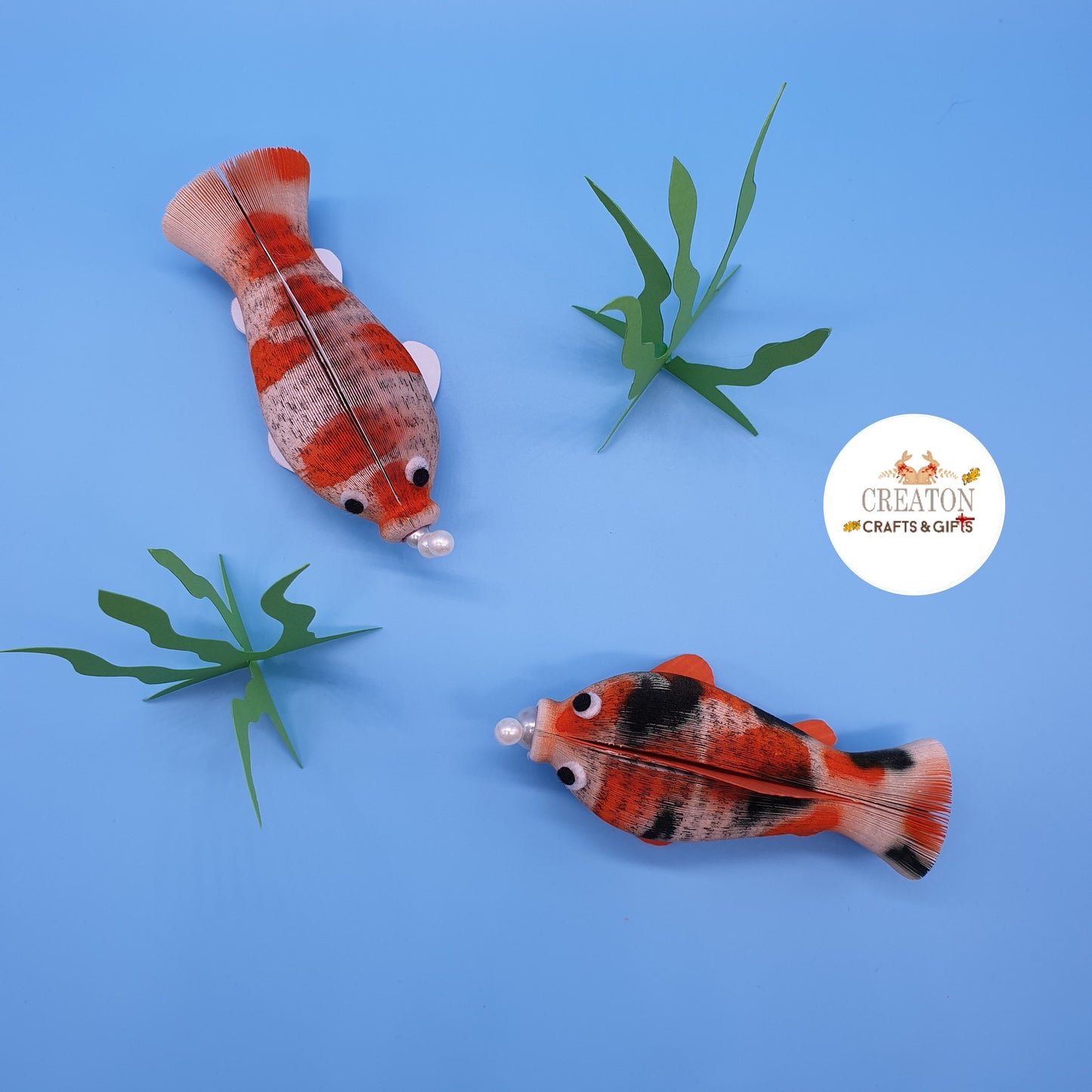 Koi fish Book Gift