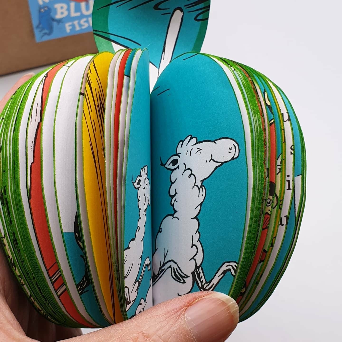 Dr Seuss Book Gift