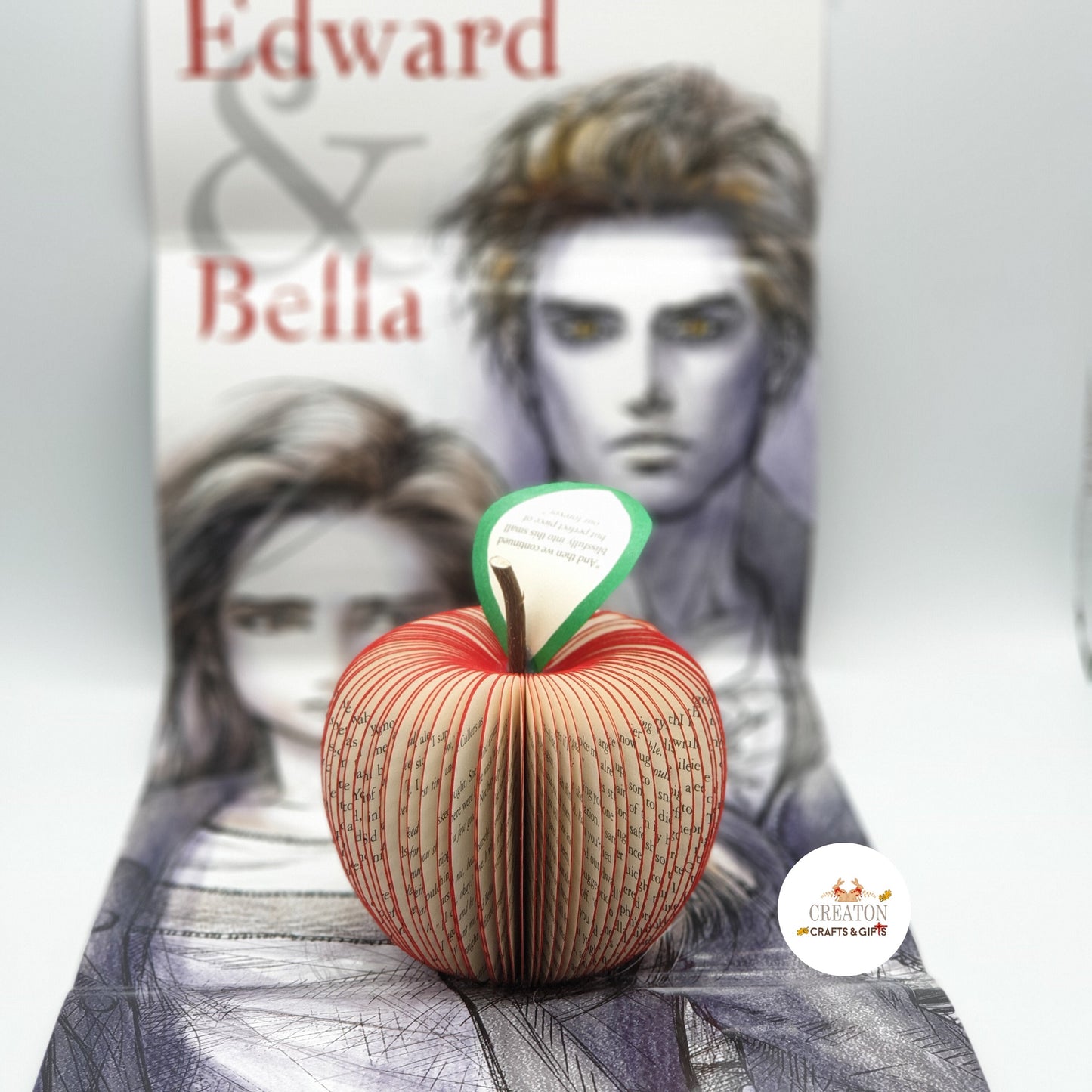 Twilight Book Gift