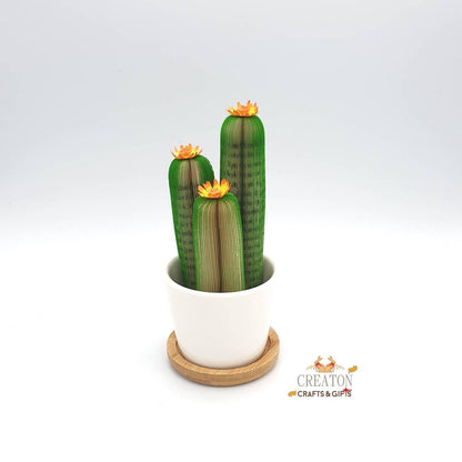 Cactus Book Gift - Paper Apple Co