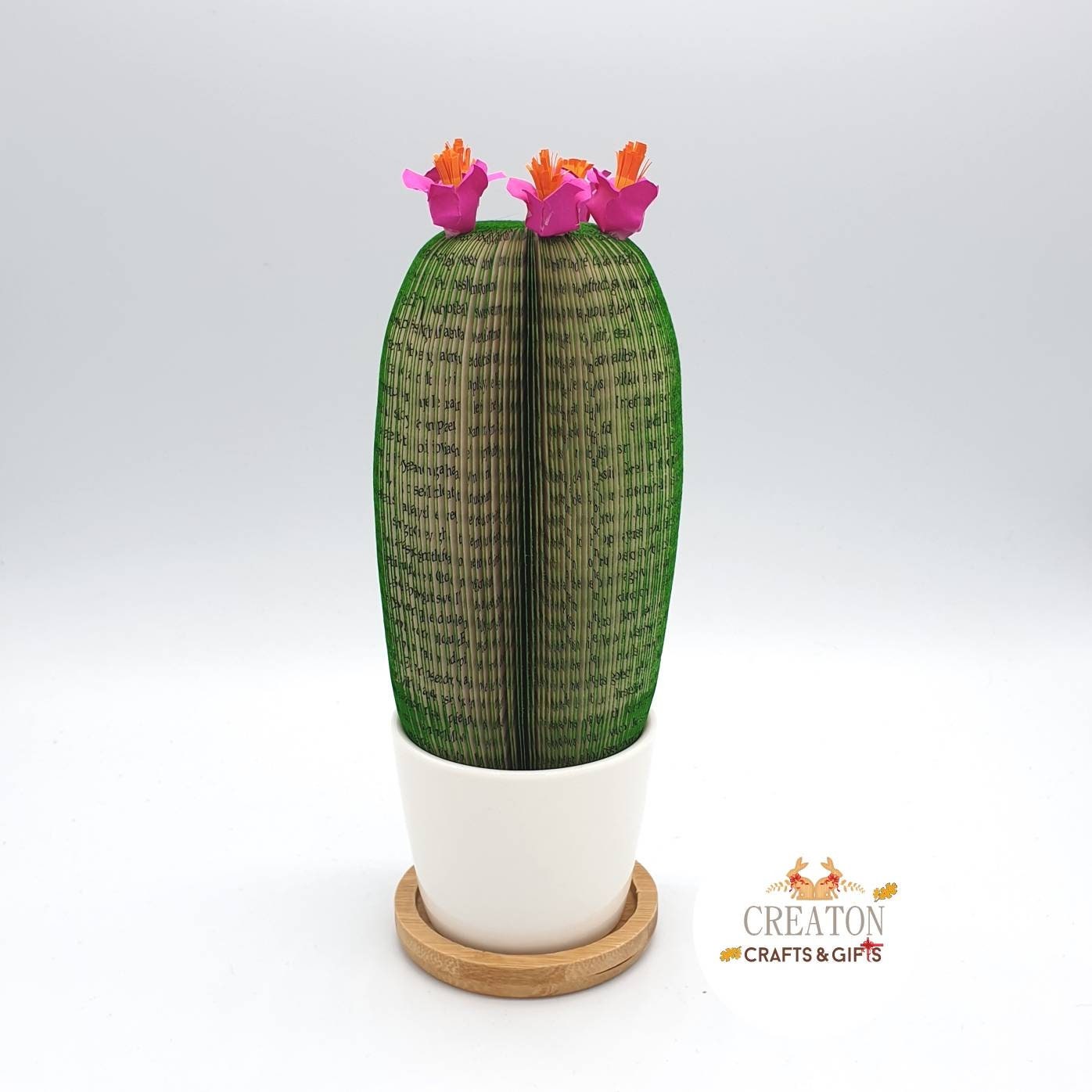 Cactus Book Gift