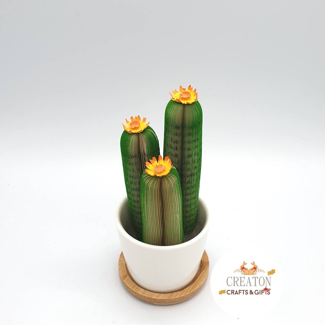 Cactus Book Gift