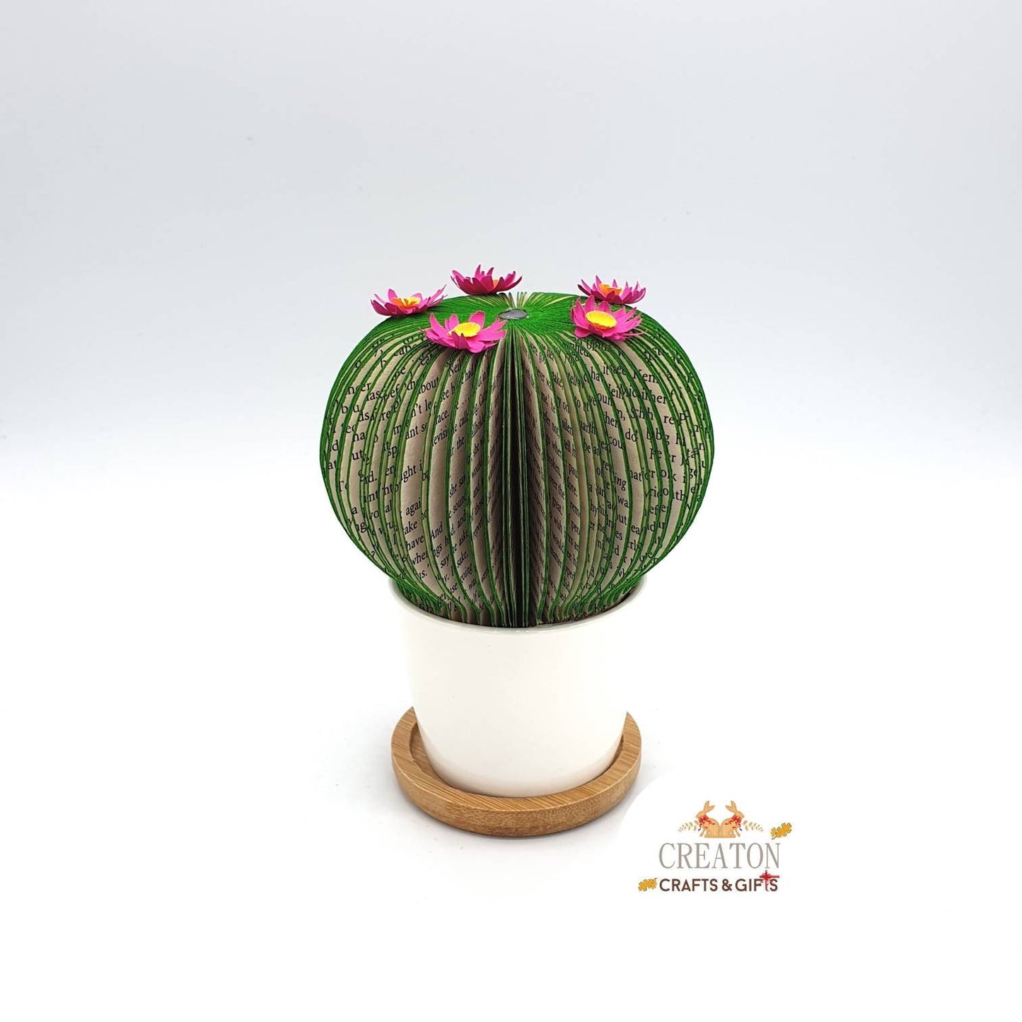 Cactus Book Gift