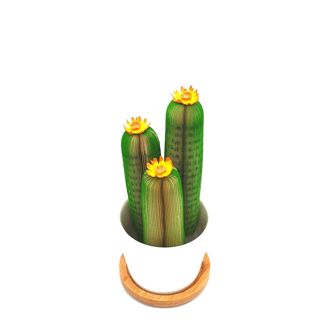 Cactus Book Gift