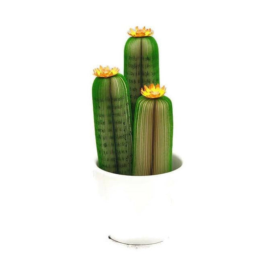 Cactus Book Gift