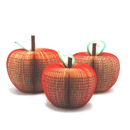 Set of 3 Apple Book Gift - Paper Apple Co