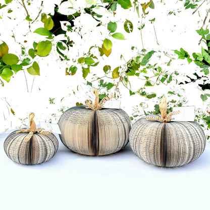 Collection of Set of 3 Black Pumpkin pumpkins in various sizes