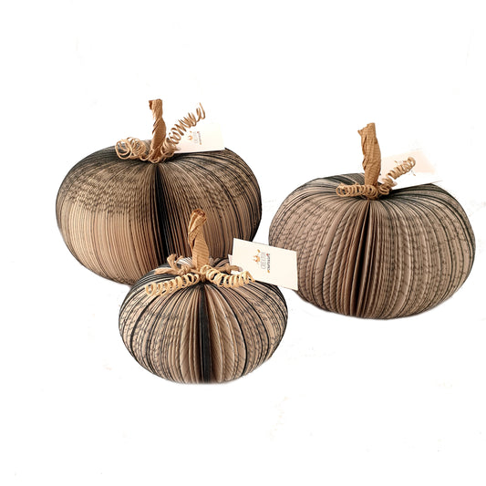 Set of 3 Black Pumpkin Book Gift - Paper Apple Co