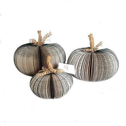 Set of 3 Black Pumpkin displayed in Halloween setting