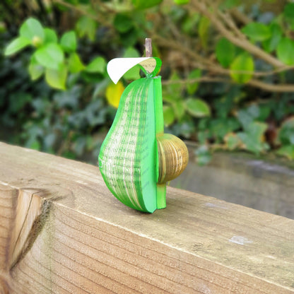 Handmade book avocado, unique anniversary gift