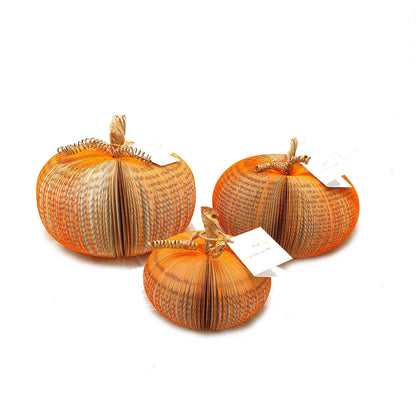 Set of 3 handmade book pumpkin on white background