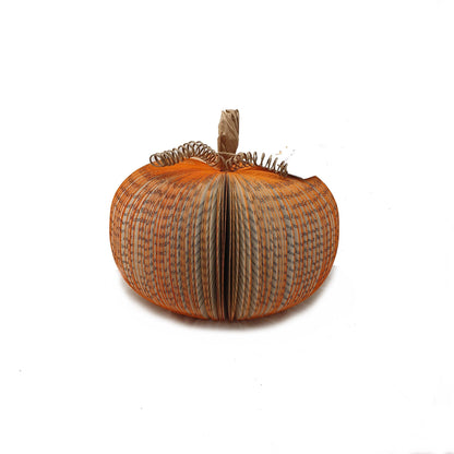 Large book page pumpkin on white background